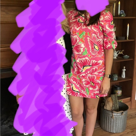 Lilly Pulitzer dress - Picture 6 of 6